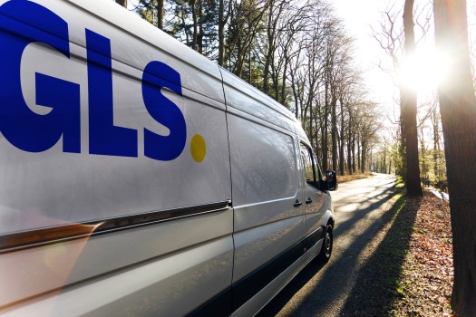 Gls van crossing the woods